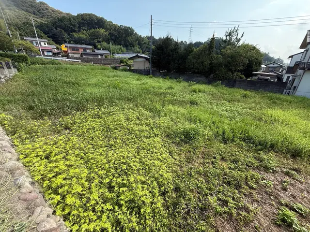 5年の実績と馬力が自慢！予算に合わせて丁寧に提案する安心の出張お手入れサービスサービスの画像