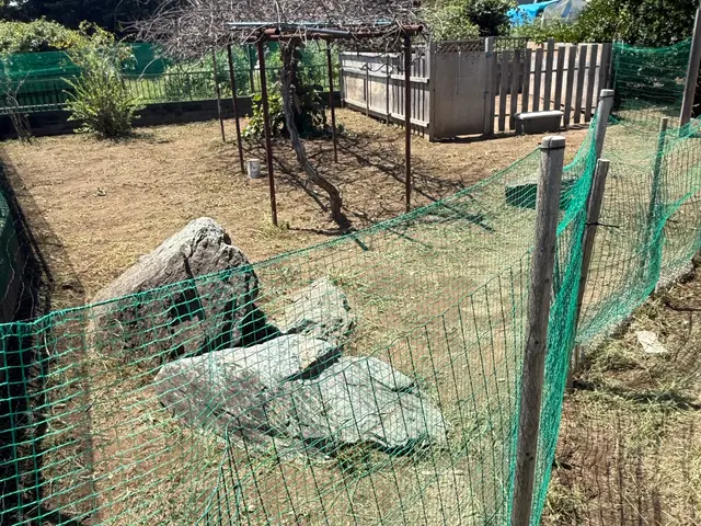 5年の実績と馬力が自慢！予算に合わせて丁寧に提案する安心の出張お手入れサービスサービスの画像