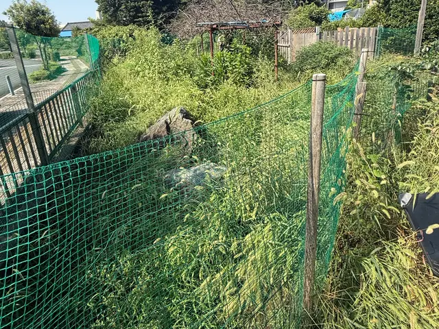 5年の実績と馬力が自慢！予算に合わせて丁寧に提案する安心の出張お手入れサービスサービスの画像