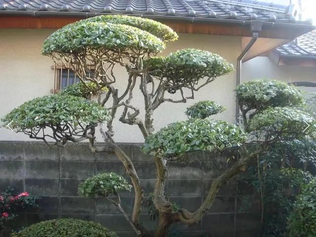 ＜年間800件の実績＞すべて自社施工！女性スタッフも在籍★駐車代お店負担サービスの画像