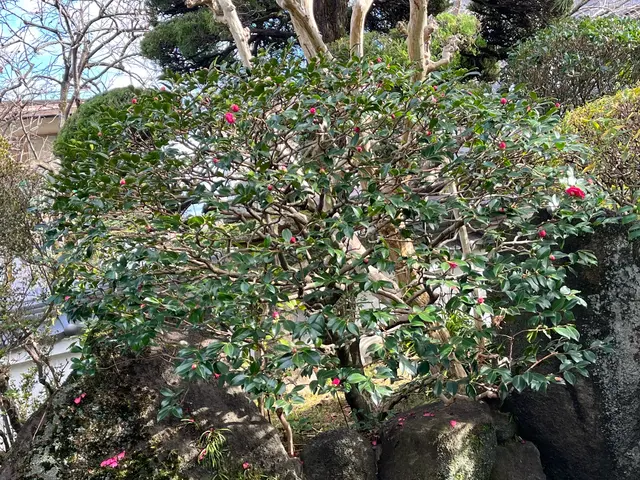 ＜年間800件の実績＞すべて自社施工！女性スタッフも在籍★駐車代お店負担サービスの画像