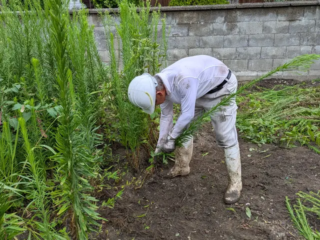 作業外注一切なし◎駐車代お店負担◎お客様の立場になって丁寧に作業します！サービスの画像