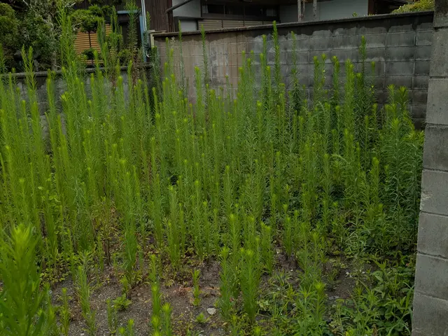 作業外注一切なし◎駐車代お店負担◎お客様の立場になって丁寧に作業します！サービスの画像