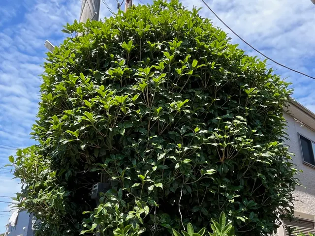 5年の実績で1000件超！寒い冬場はプロにお任せください！サービスの画像