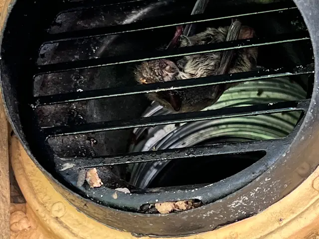 ☆安心安全☆被害が大きくなる前に。忌避剤セット、解決するまでとことん付き合いますサービスの画像