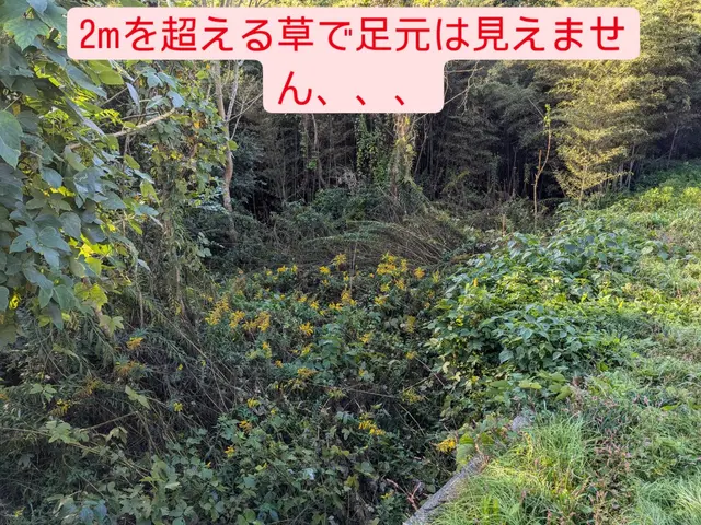 【クラシノマーケット出店スタートダッシュキャンペーン！！】草刈りは僕にお任せ！サービスの画像