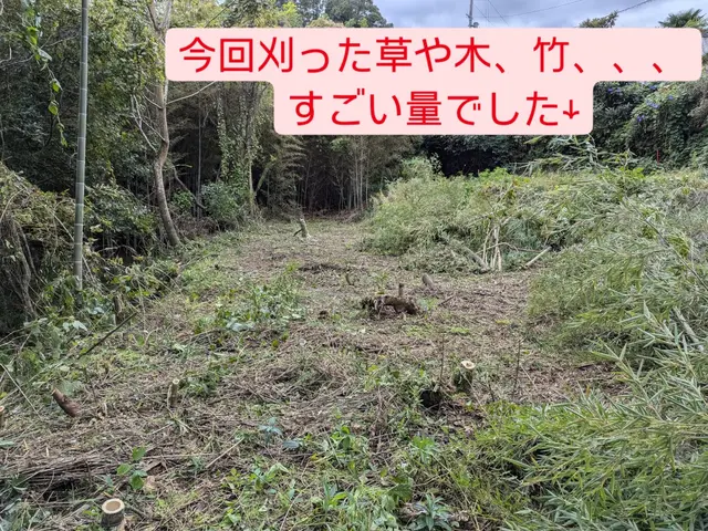 【クラシノマーケット出店スタートダッシュキャンペーン！！】草刈りは僕にお任せ！サービスの画像