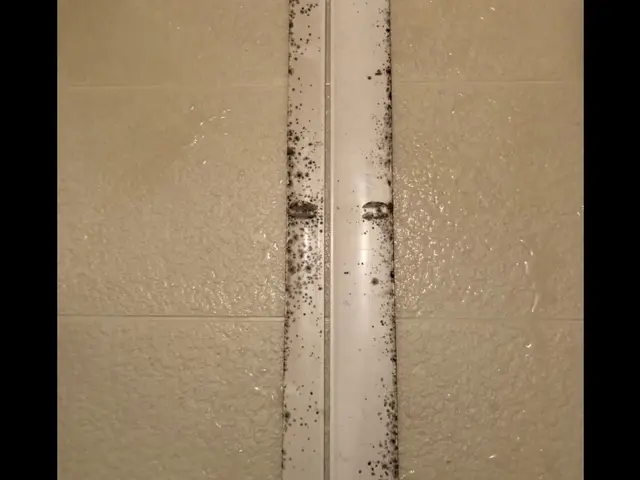 【年中無休で対応◎】オープン記念特価！1日2名様限定　　P代無料　安心の当店へ！サービスの画像