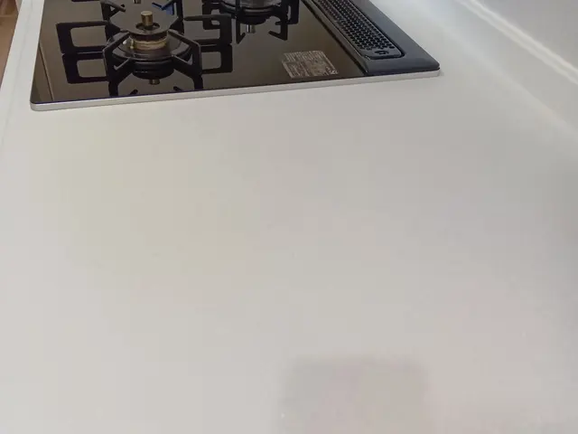 【年越除菌キッチンクリーニング】入選店のプロが水回りクリーニング■墨田江東〜千葉サービスの画像