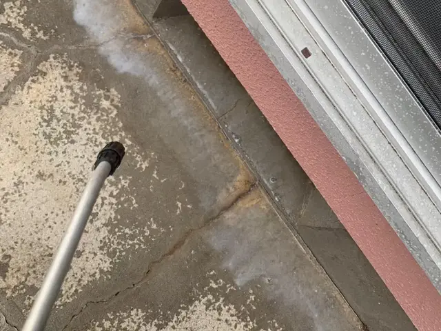 24h/即日対応可能！有資格者によるクモ駆除、対策！もう見たくないを実現します！サービスの画像