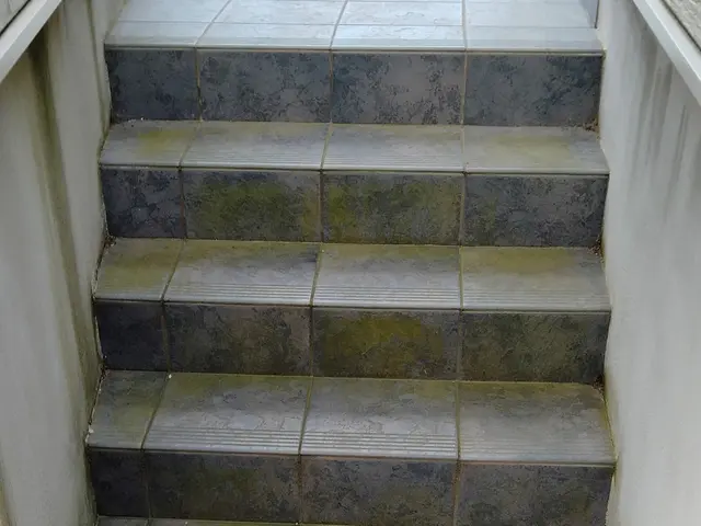 外玄関入り口タイル・階段のクリーニング＆コーティング！仕上がりに自信あり！サービスの画像