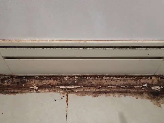 カビ、水垢、油汚れ徹底的に除去します★カビ防止コートサービス致します★サービスの画像