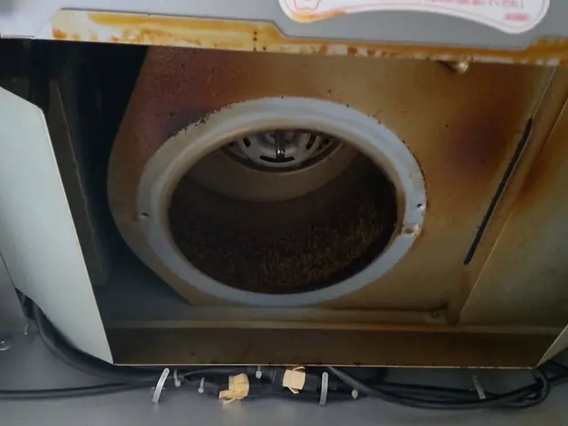 カビ、水垢、油汚れ徹底的に除去します★カビ防止コートサービス致します★サービスの画像