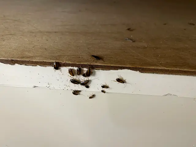 ◎追加料金一切なし◎駐車代当店負担◎営業時間外・対応地域外もご相談ください！サービスの画像