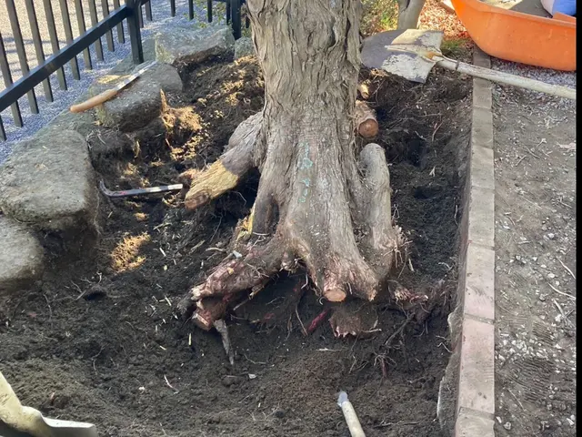 お客様のお力になります！経験と知識を活かして迅速丁寧に作業いたします！サービスの画像