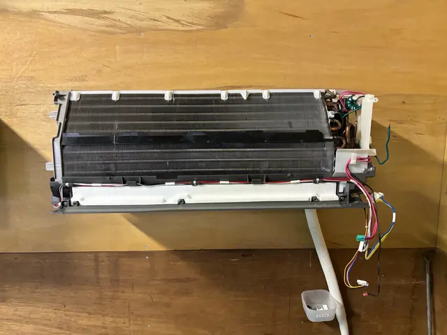 ◇明朗会計◇ペット子供にも優しい洗剤使用サービスの画像