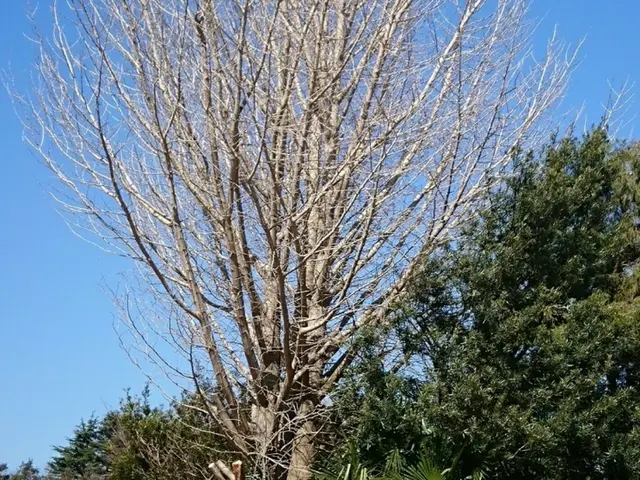 【1/24～◎】時間外相談可！料金追加なし！業歴17年サービスの画像