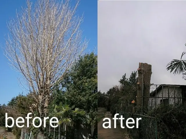 【1/24～◎】時間外相談可！料金追加なし！業歴17年サービスの画像