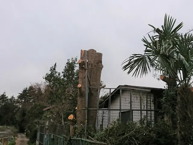 【1/24～◎】時間外相談可！料金追加なし！業歴17年サービスの画像