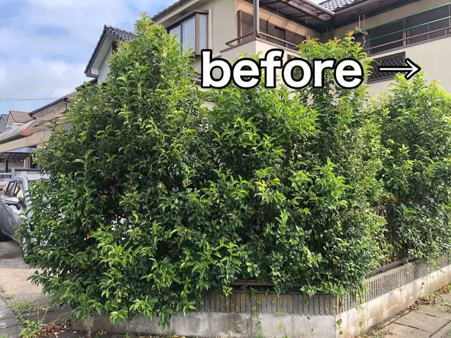 【速い作業・適正な価格・綺麗な仕上り】◉植え込みをサッパリ、すっきりしませんか◉サービスの画像