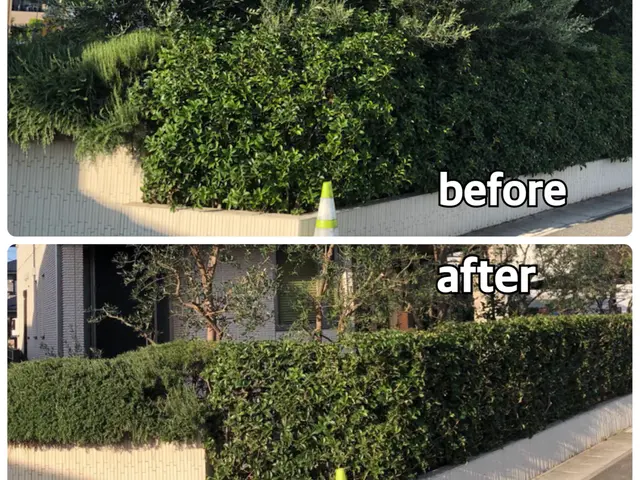 【速い作業・適正な価格・綺麗な仕上り】◉植え込みをサッパリ、すっきりしませんか◉サービスの画像