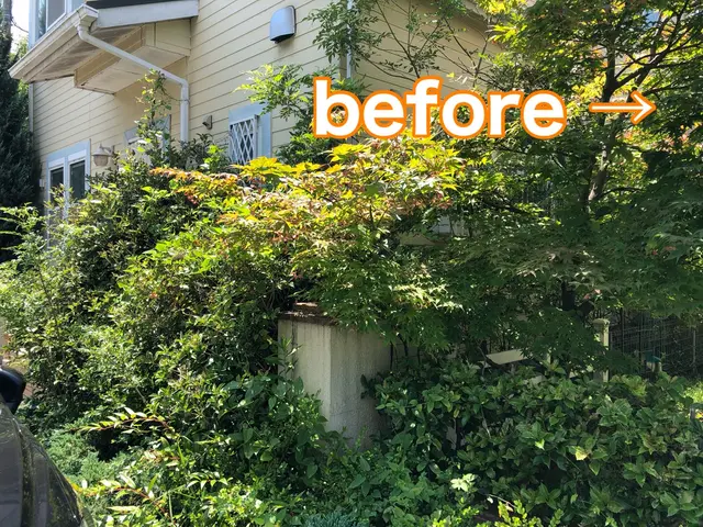 【速い作業・適正な価格・綺麗な仕上り】◉植え込みをサッパリ、すっきりしませんか◉サービスの画像