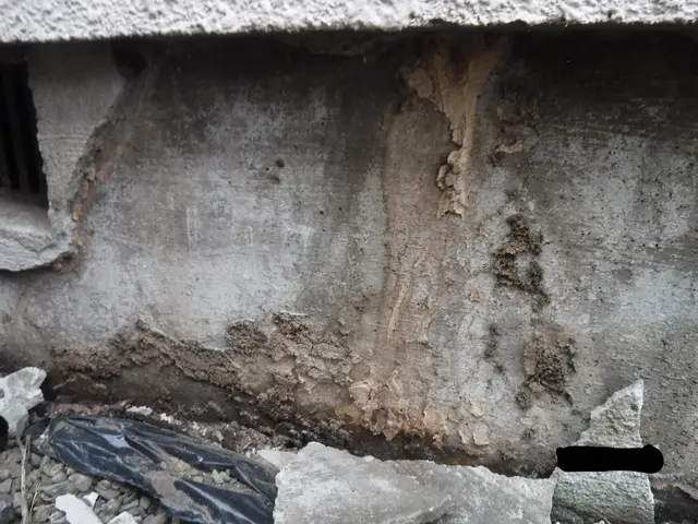 【動物のことなら何でも相談！】静岡県全体どこでも可◎2024新規開店お祝い価格！サービスの画像