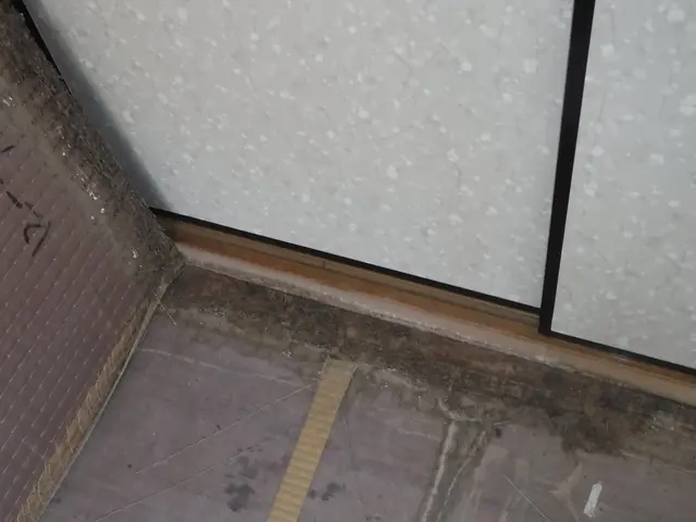 【動物のことなら何でも相談！】静岡県全体どこでも可◎2024新規開店お祝い価格！サービスの画像