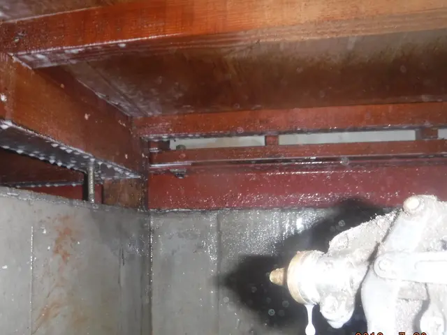 【動物のことなら何でも相談！】静岡県全体どこでも可◎2024新規開店お祝い価格！サービスの画像