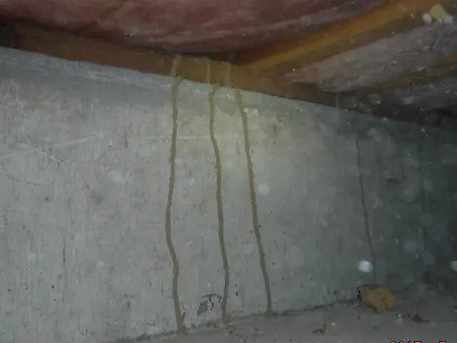 【動物のことなら何でも相談！】静岡県全体どこでも可◎2024新規開店お祝い価格！サービスの画像