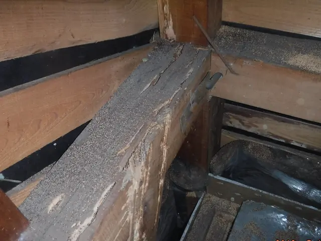 【動物のことなら何でも相談！】静岡県全体どこでも可◎2024新規開店お祝い価格！サービスの画像