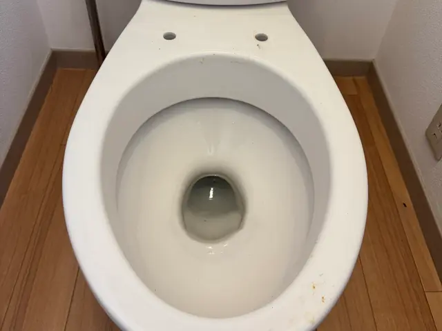 ★トイレクリーニング込み価格★追加料金一切なし★損害保険加入済みで任せて安心！サービスの画像