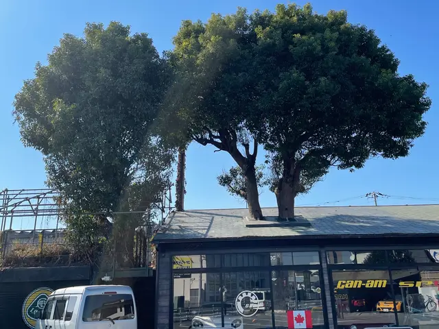 他店で断られ困ってる!写真見積もり出来ます！現地見積もりも無料なので安心です！サービスの画像