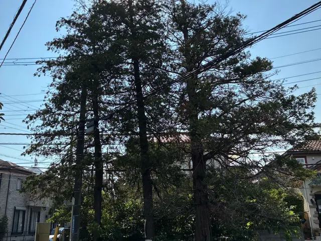 他店で断られ困ってる!写真見積もり出来ます！現地見積もりも無料なので安心です！サービスの画像