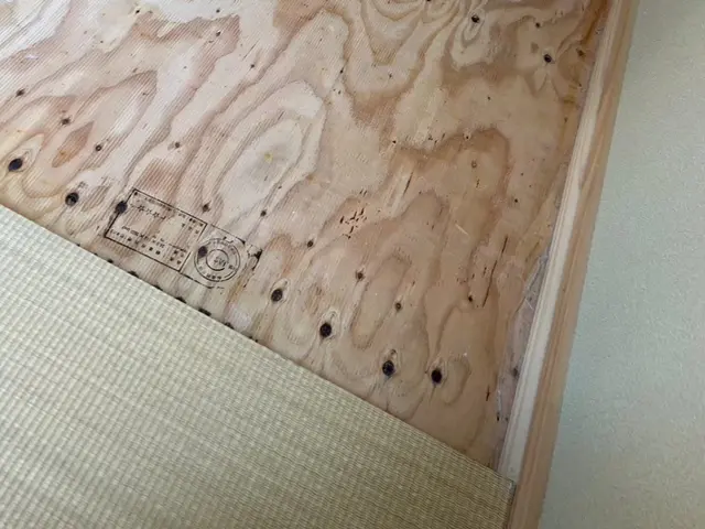 国家資格保持者によるノミ駆除、対策！もう刺されたくないを実現します！即日可能！サービスの画像