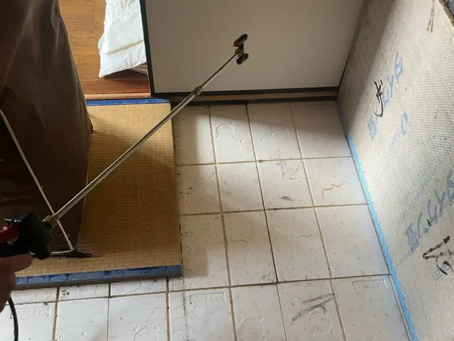 国家資格保持者によるノミ駆除、対策！もう刺されたくないを実現します！即日可能！サービスの画像