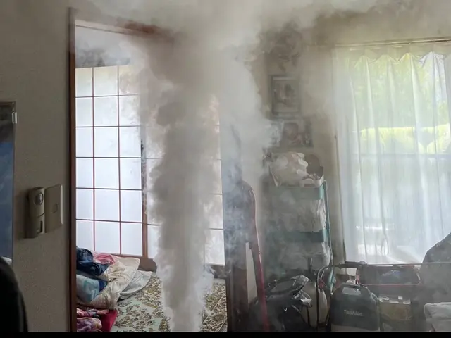 国家資格保持者によるノミ駆除、対策！もう刺されたくないを実現します！即日可能！サービスの画像