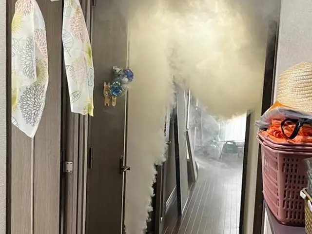 国家資格保持者によるノミ駆除、対策！もう刺されたくないを実現します！即日可能！サービスの画像