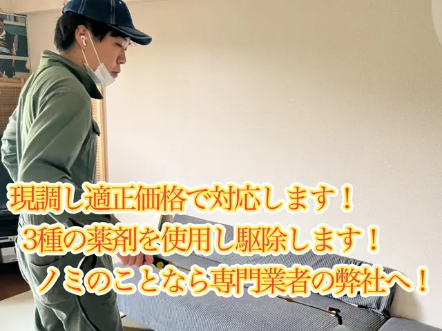 即日可能です！国家資格保持者によるノミ駆除、対策！もう刺されたくないを実現しますサービスの画像