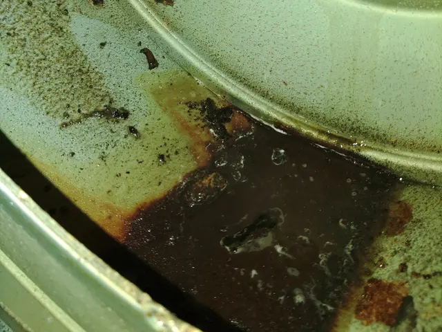 ただいま新年お掃除キャンペーン中です！！是非お得な時にご利用ください。サービスの画像