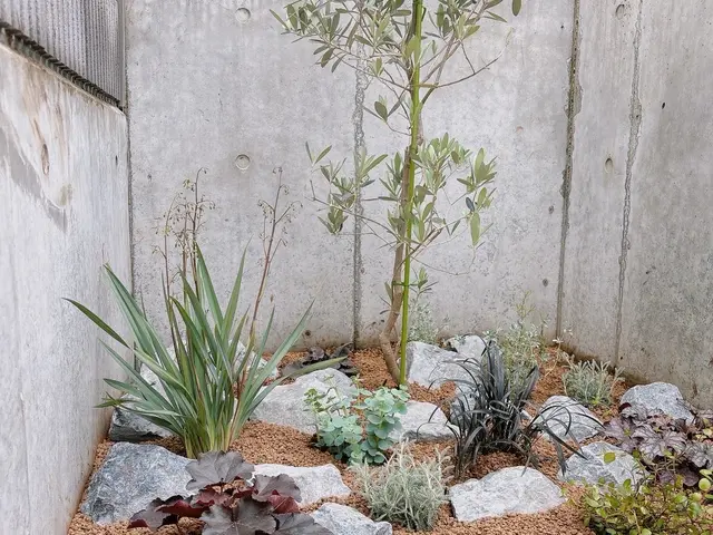 【顧客満足度賞3年連続入選!!】冬剪定受付中！1月〜の対応となります。サービスの画像