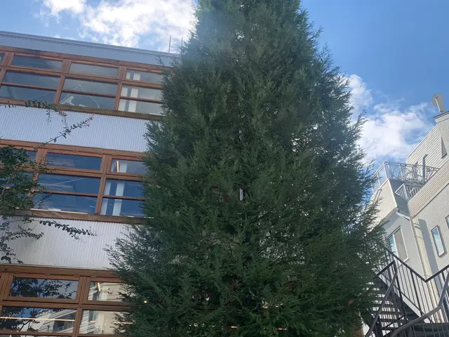 【顧客満足度賞3年連続入選!!】冬剪定受付中！1月〜の対応となります。サービスの画像