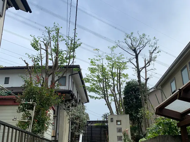 【顧客満足度賞3年連続入選!!】冬剪定受付中！1月〜の対応となります。サービスの画像