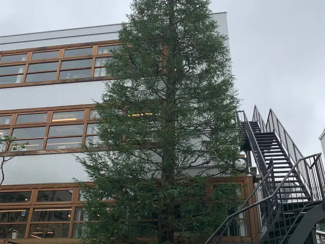 【顧客満足度賞3年連続入選!!】冬剪定受付中！1月〜の対応となります。サービスの画像