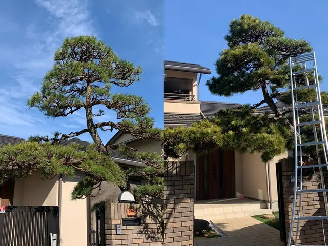 【顧客満足度賞3年連続入選!!】冬剪定受付中！1月〜の対応となります。サービスの画像