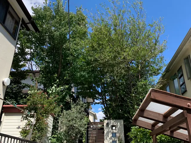 【顧客満足度賞3年連続入選!!】冬剪定受付中！1月〜の対応となります。サービスの画像