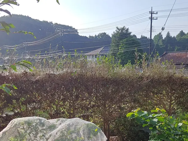 気づいたらいっぱいいる毛虫を駆除致します！予防薬散布・アフタフォローも万全です！サービスの画像