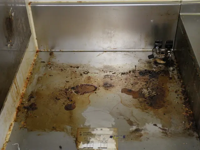 【丁寧第一主義】実務経験２０年以上！☆レンジの焦げつきやシンクの水垢をリセット☆サービスの画像