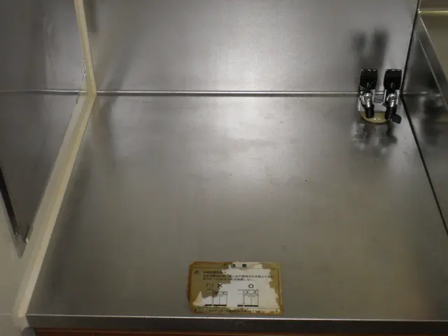 【丁寧第一主義】実務経験２０年以上！☆レンジの焦げつきやシンクの水垢をリセット☆サービスの画像