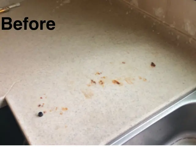 ＜リピーター続出！＞実績多数！福岡市発で、ご要望に合わせて誠心誠意取り組みます！サービスの画像